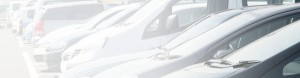 top_bg006